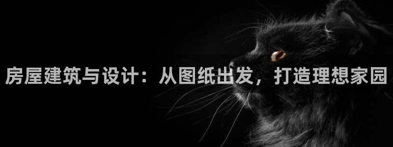 威九国际78m78下载:房屋建筑与设计:从图纸出发,打造理想家园