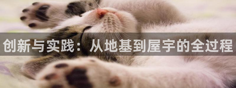 威九国际:创新与实践:从地基到屋宇的全过程